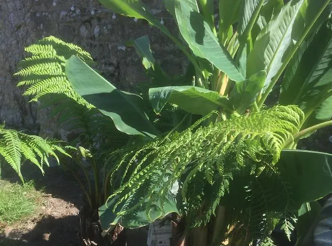 Bed and breakfast Le Bourg 3*